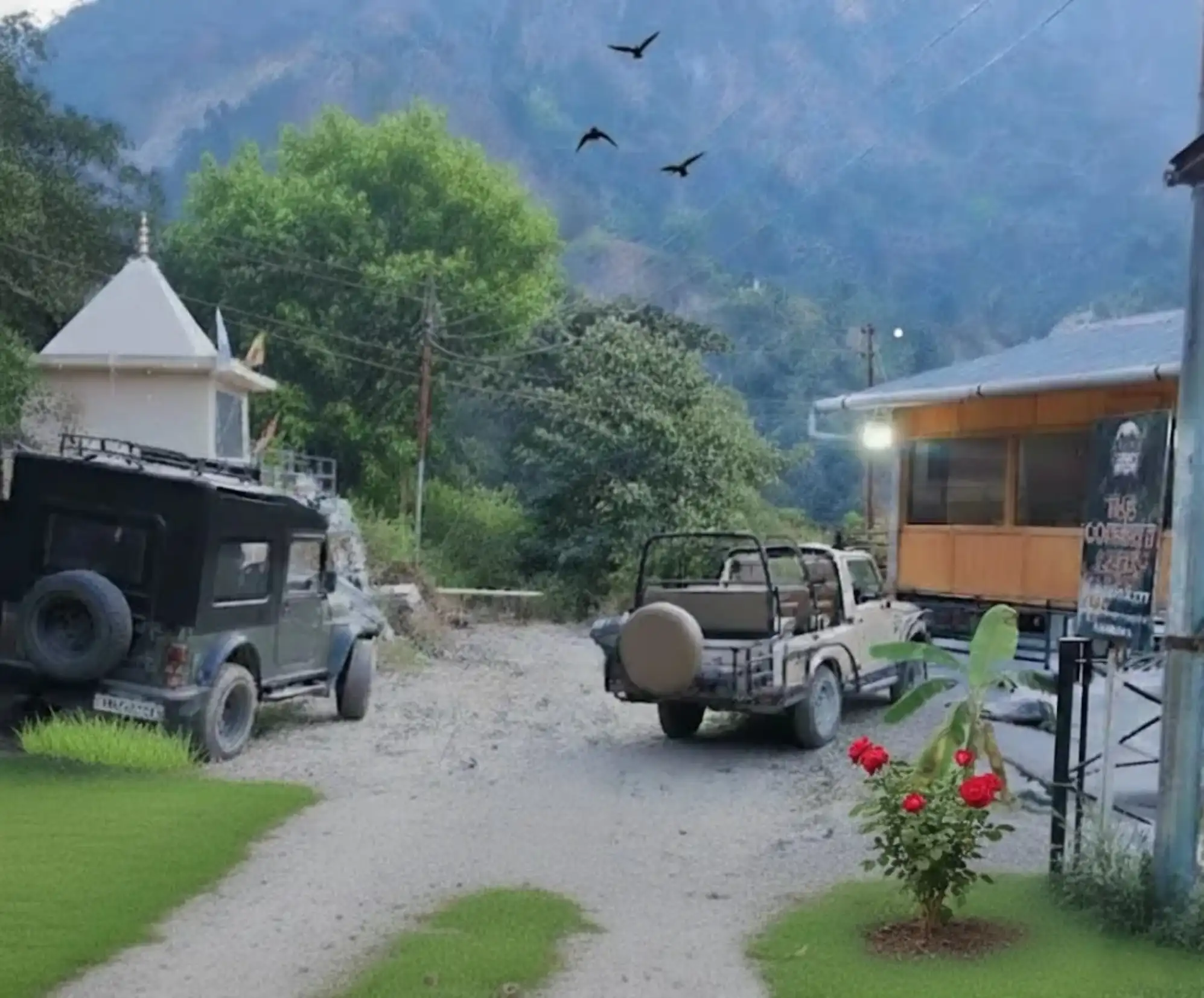 Jim Corbett Jeep Safari
