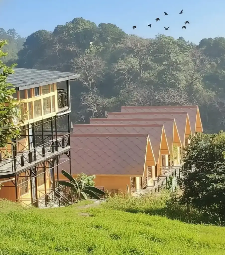 Superior Garden Retreat